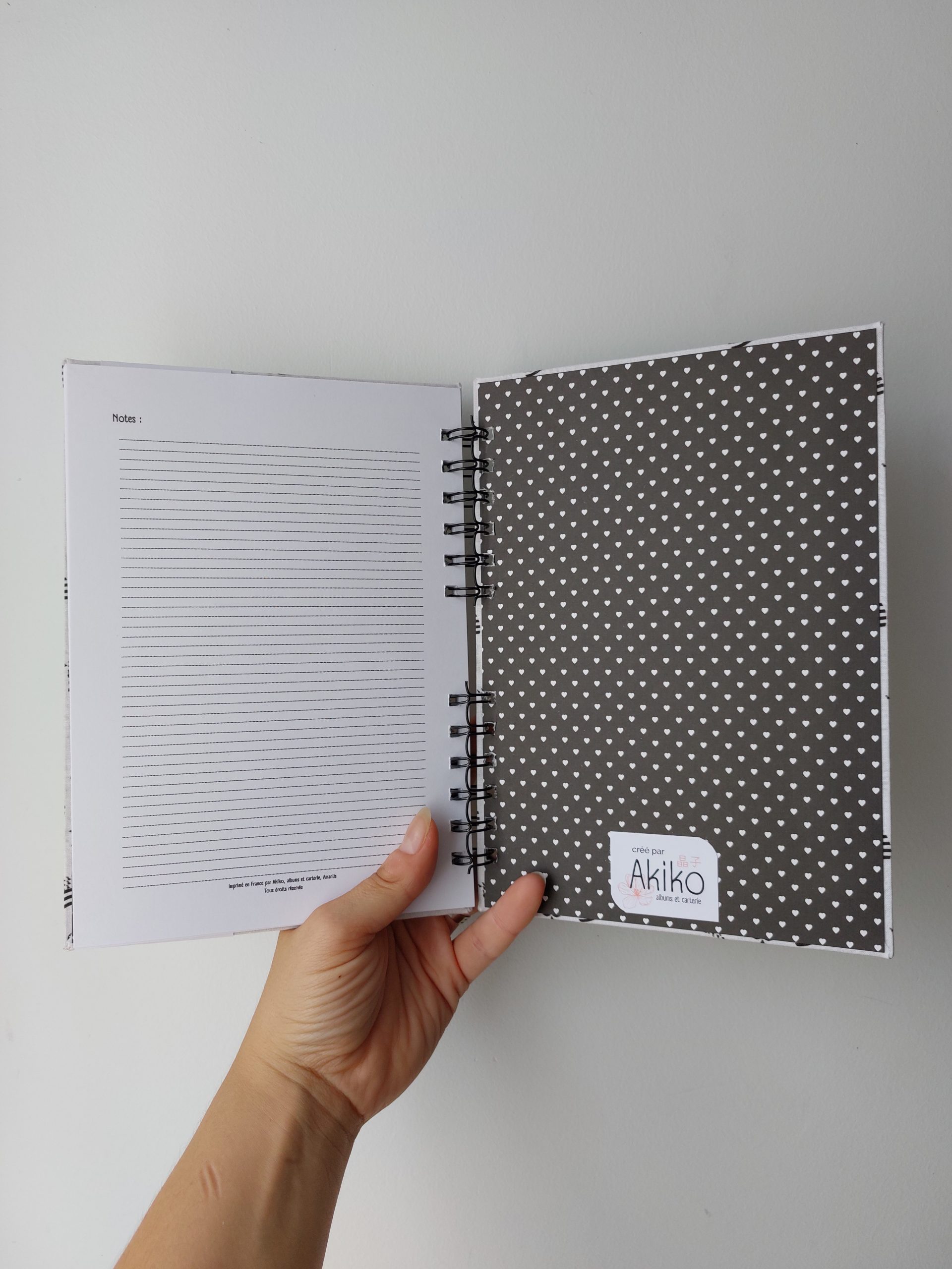 carnet de voyage